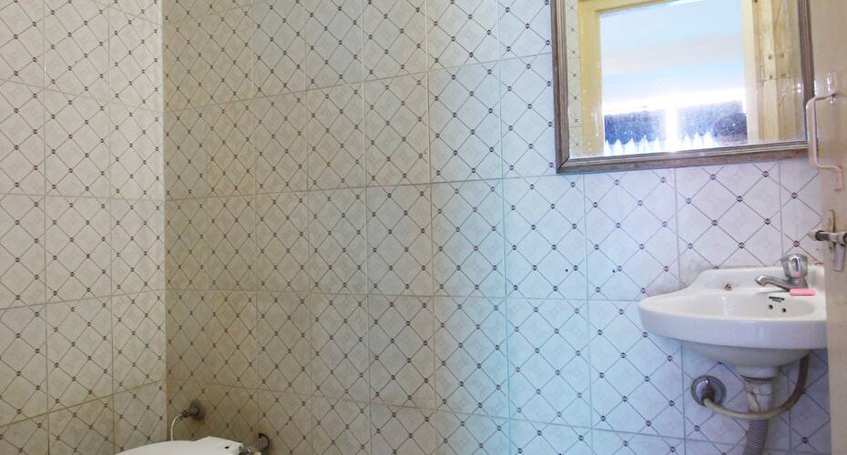 Hotel Blue Diamond, Ahmedabad 5